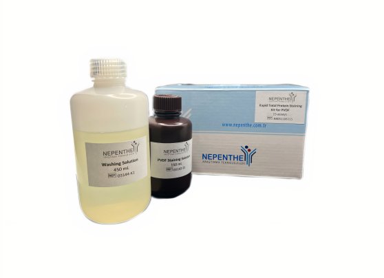 rapid total protein staining kit